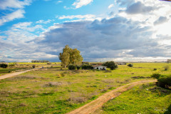 DSC7632