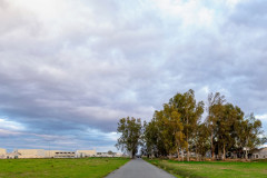 DSC7693-Pano