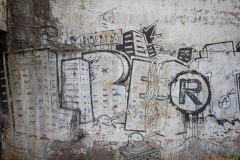 IMG_4245