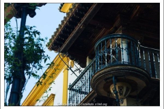 Diego Martínez Castañeda