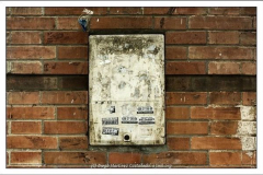 Diego Martínez Castañeda