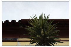 Diego Martínez Castañeda