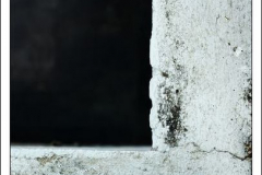 Diego Martínez Castañeda