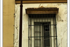 Diego Martínez Castañeda