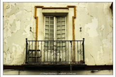 Diego Martínez Castañeda