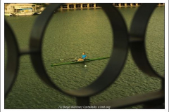 Diego Martínez Castañeda