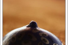 Diego Martínez Castañeda