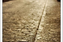 Diego Martínez Castañeda