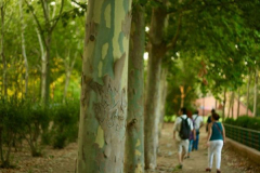 Anastasia Kondratieva