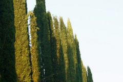 Anastasia Kondratieva