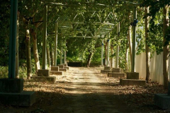 Anastasia Kondratieva