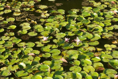 Anastasia Kondratieva