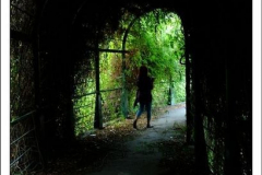 Diego Martínez Castañeda