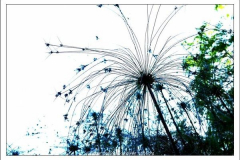 Diego Martínez Castañeda