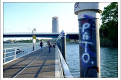 Diego Martínez Castañeda