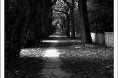 Diego Martínez Castañeda