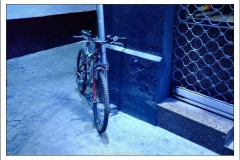 Anastasia Kondratieva