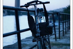 Anastasia Kondratieva