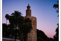 Diego Martínez Castañeda