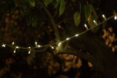 Anastasia Kondratieva