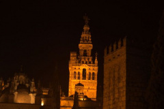 Anastasia Kondratieva