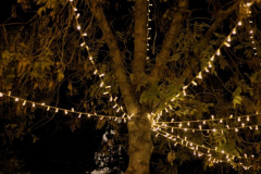 Anastasia Kondratieva