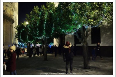 Diego Martínez Castañeda