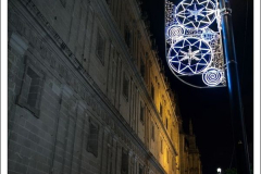 Diego Martínez Castañeda