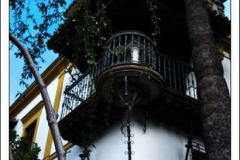 Diego Martínez Castañeda