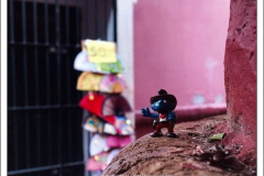 Diego Martínez Castañeda