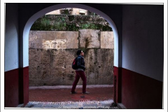 Diego Martínez Castañeda