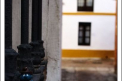 Diego Martínez Castañeda