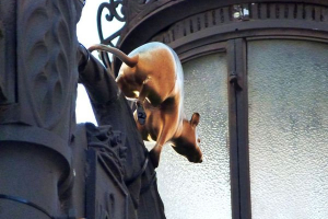 20180203 Ruta de la peste