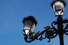 Raquel de la Iglesia