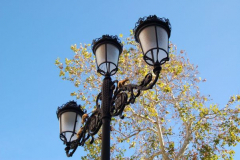 Raquel de la Iglesia