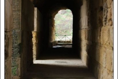 Diego Martínez Castañeda