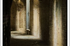 Diego Martínez Castañeda