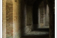 Diego Martínez Castañeda