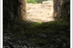 Diego Martínez Castañeda