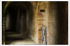 Diego Martínez Castañeda