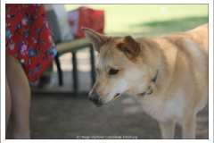 Diego Martínez Castañeda