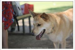 Diego Martínez Castañeda