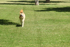 Eva María Fernández