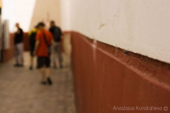 Anastasia Kondratieva