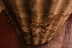 Anastasia Kondratieva