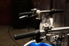 Anastasia Kondratieva