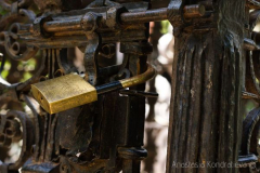 Anastasia Kondratieva