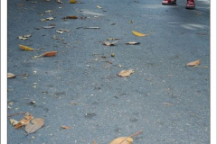 Diego Martínez Castañeda