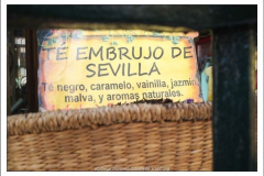 Diego Martínez Castañeda