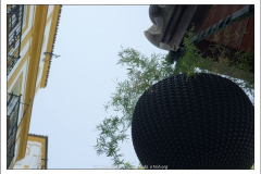 Diego Martínez Castañeda